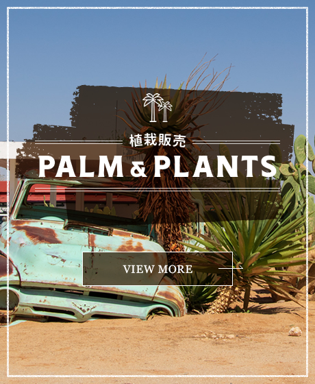 植栽販売 PALM & PLANTS